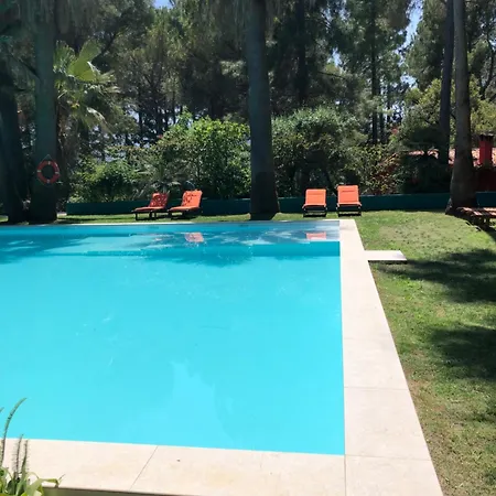 El Botanico De Sagra Hotel Buitenkant foto
