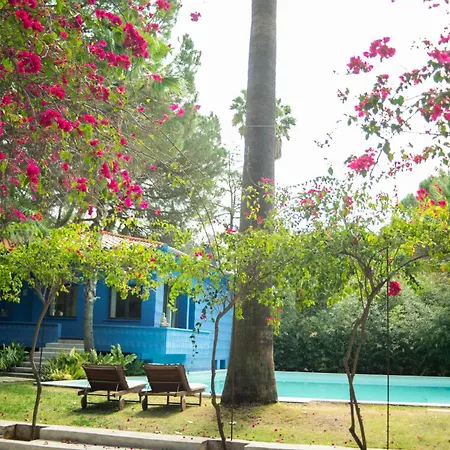 El Botanico De Sagra Hotel Buitenkant foto