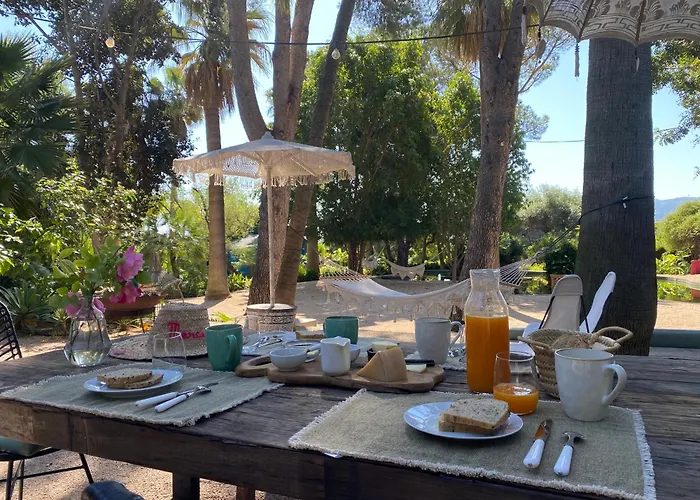 El botanico de Sagra