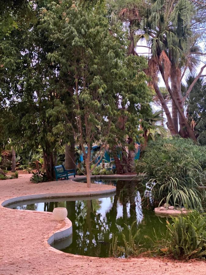 El Botanico De Pensión