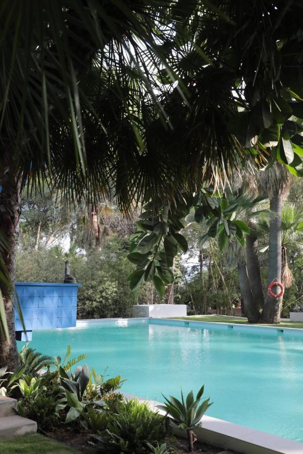 Pensión El Botanico De Sagra