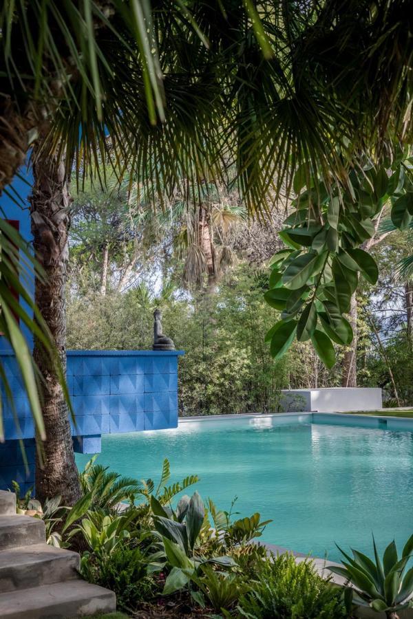 El Botanico De Pensión