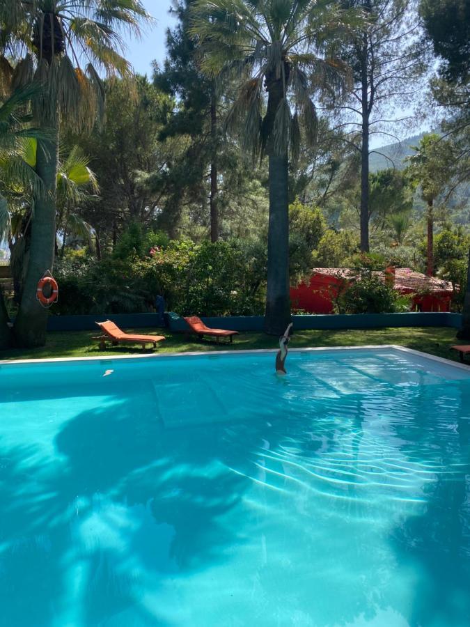 El Botanico De Pensión