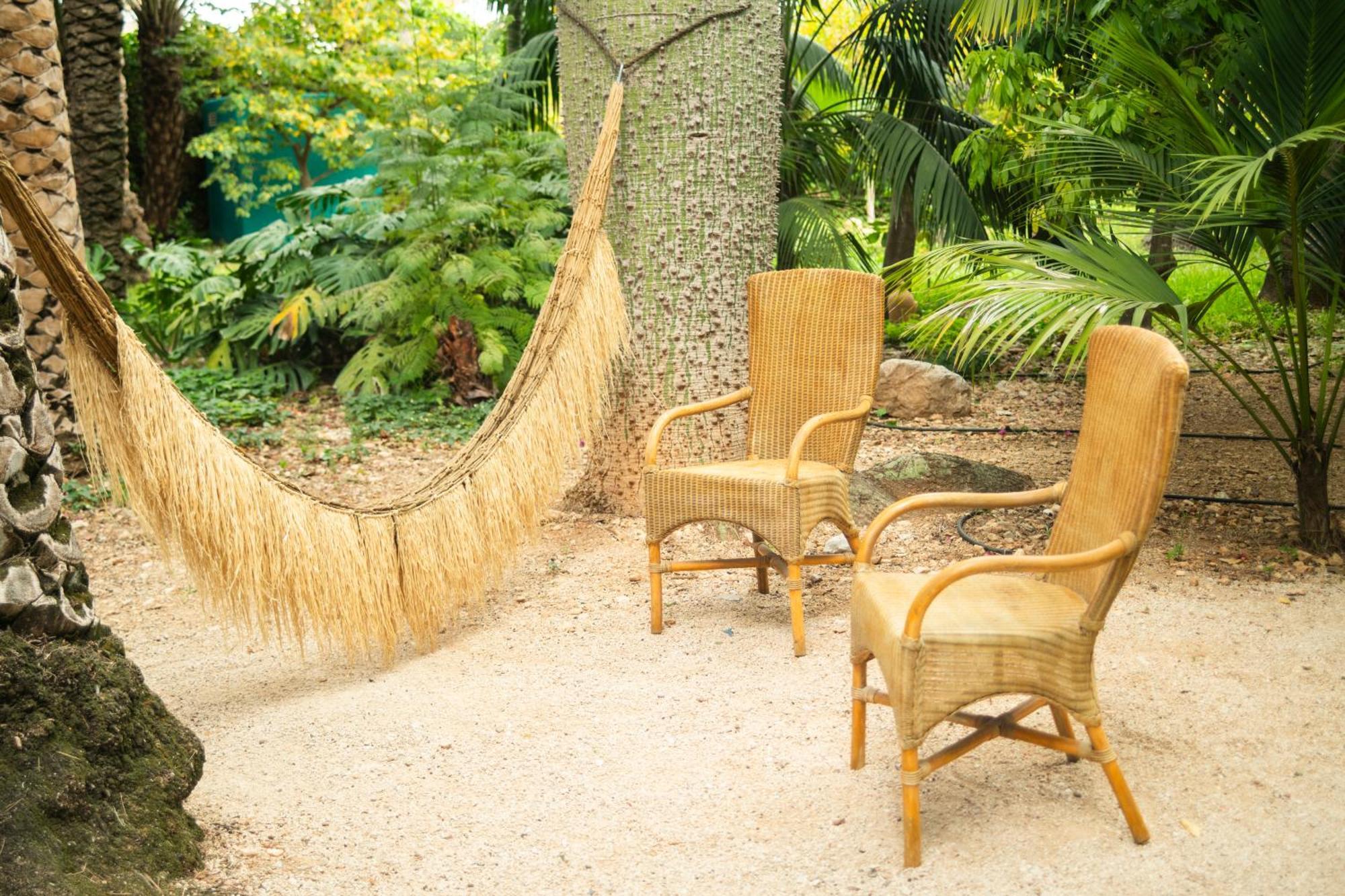 El Botanico De Sagra
