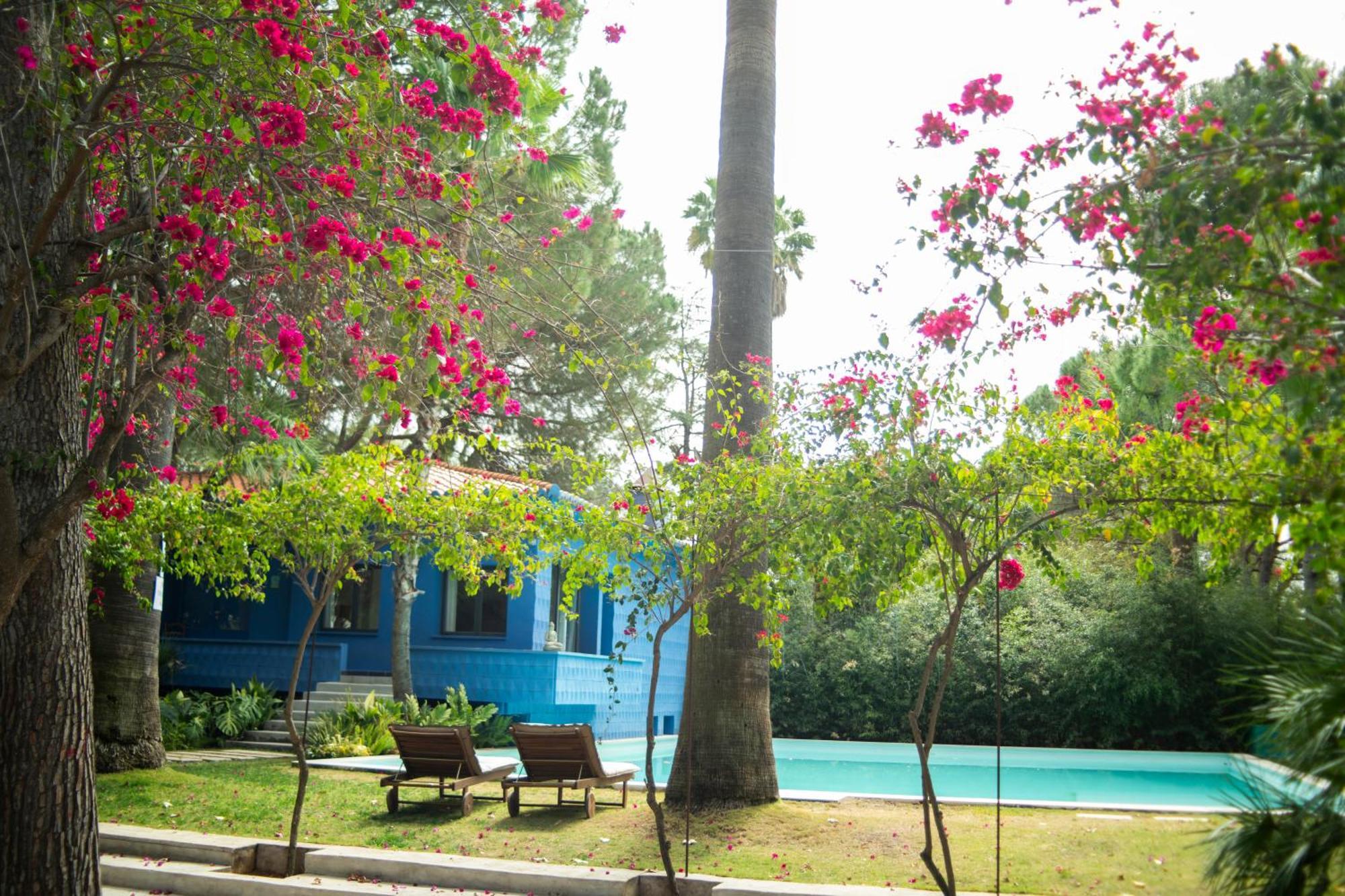 Pensión El Botanico De *