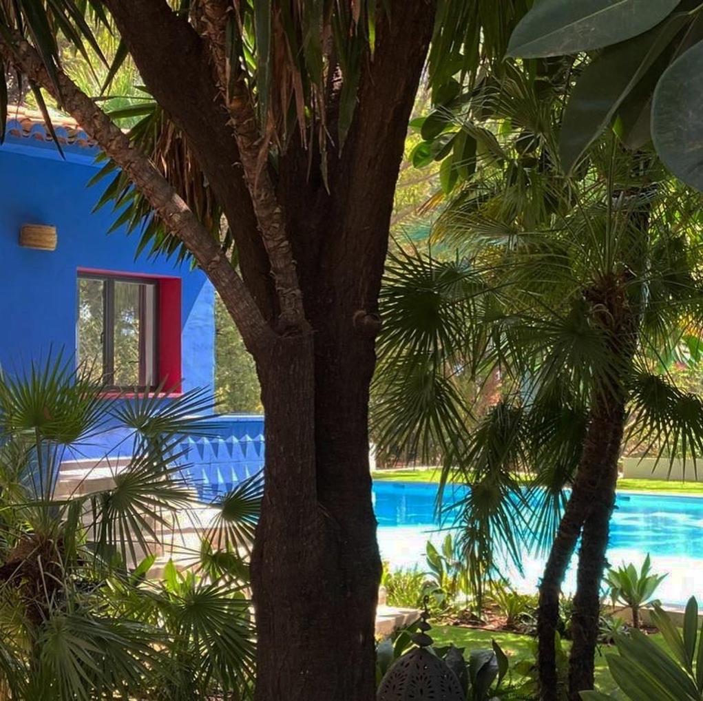 El Botanico De *