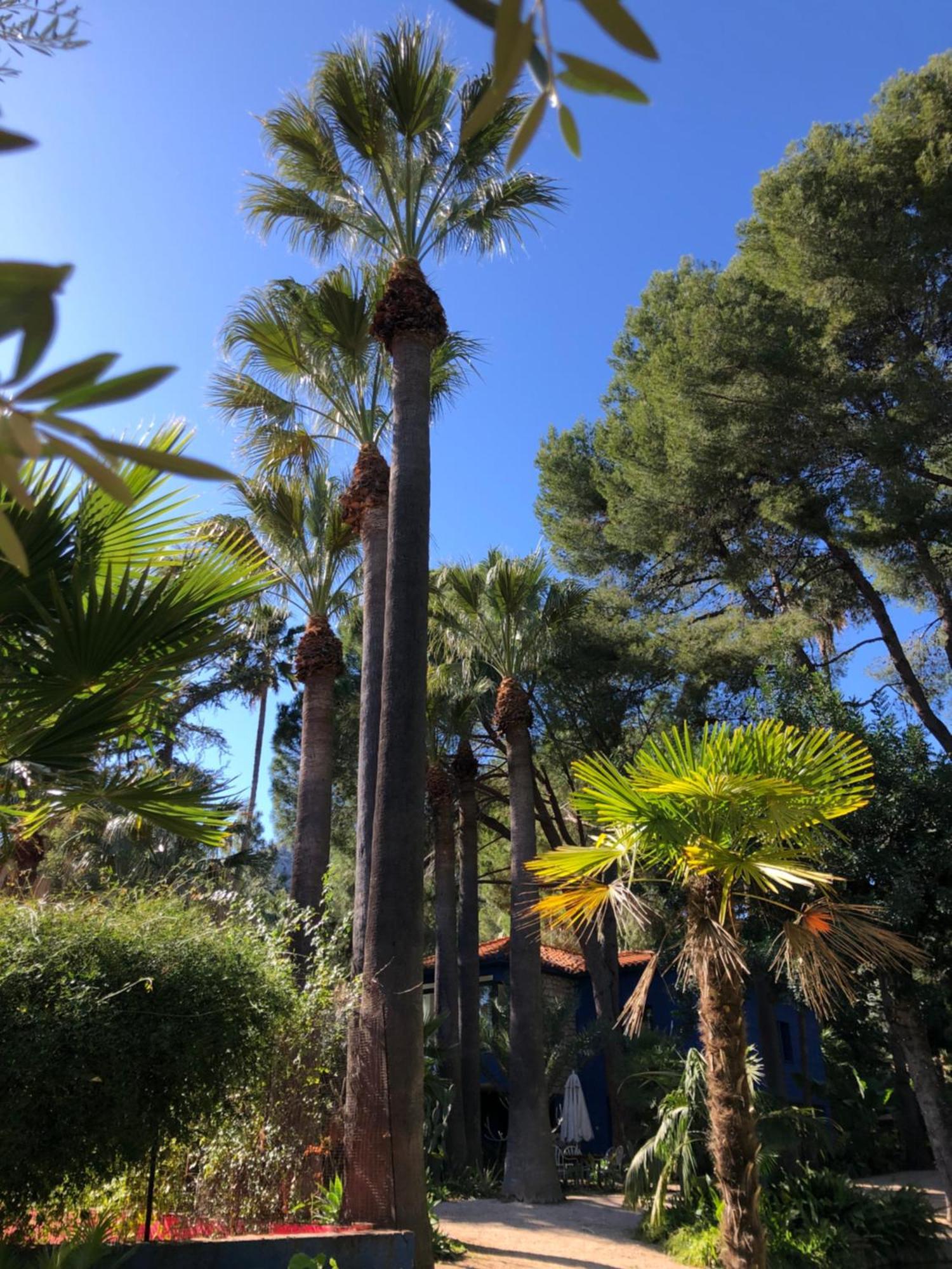 Pensión El Botanico De *