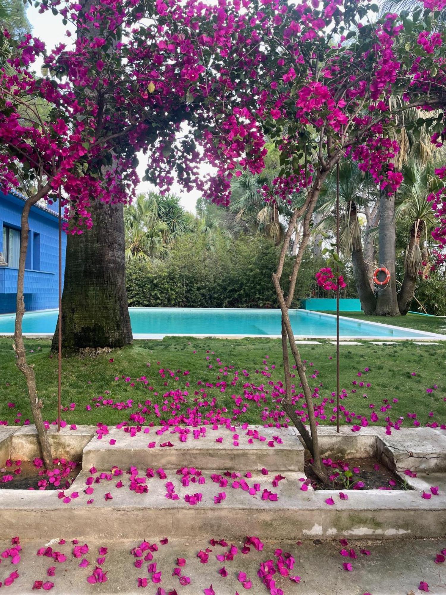 Pensión El Botanico De *